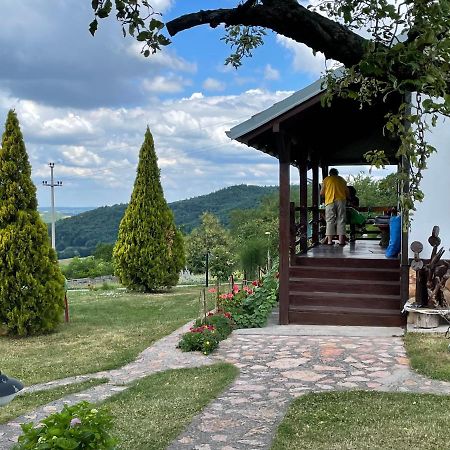 Вилла Etno Selo Moj Zavicaj Горни-Милановац Экстерьер фото
