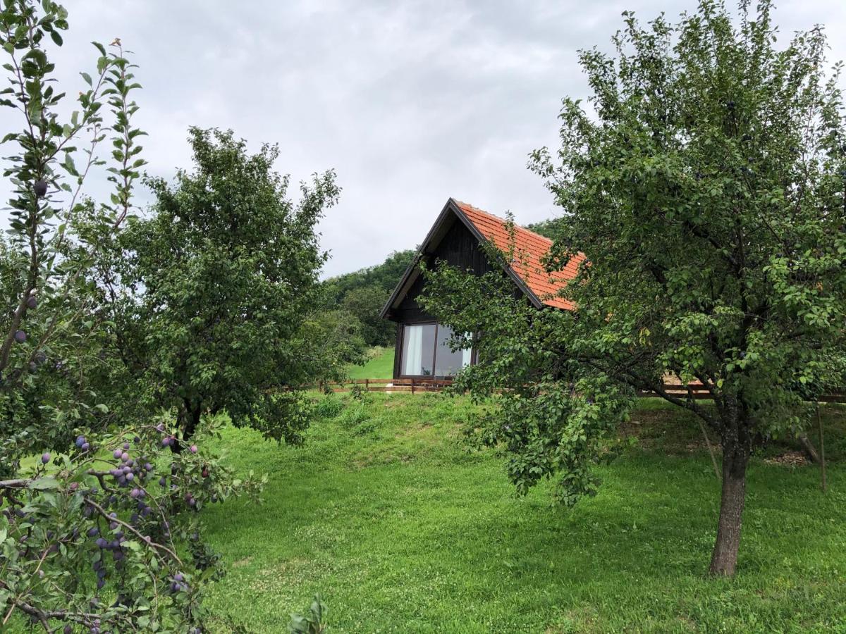 Вилла Etno Selo Moj Zavicaj Горни-Милановац Экстерьер фото
