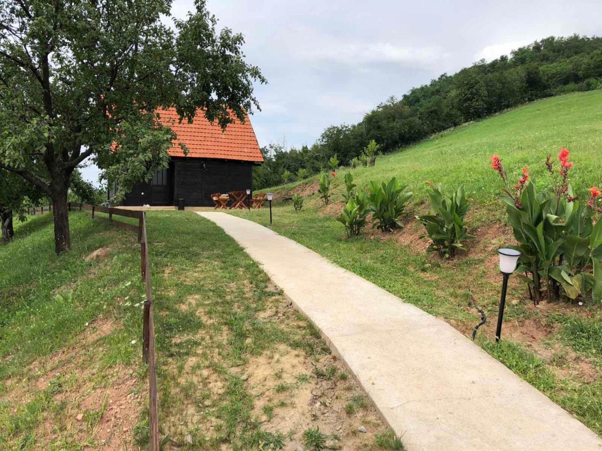 Вилла Etno Selo Moj Zavicaj Горни-Милановац Экстерьер фото