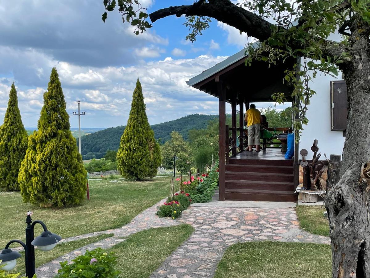 Вилла Etno Selo Moj Zavicaj Горни-Милановац Экстерьер фото